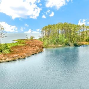 175 River Watch Road (6)