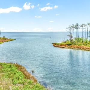 175 River Watch Road (7)