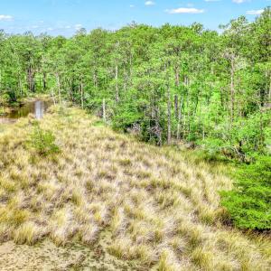 175 River Watch Road (4)