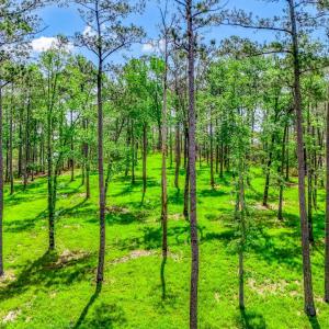 175 River Watch Road (22)