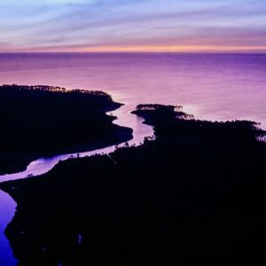 _Gum Thicket and Neuse River (2)