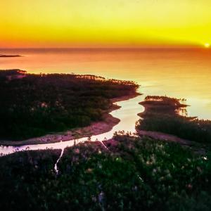 _Gum Thicket and Neuse River