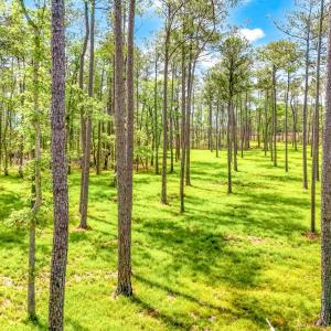 175 River Watch Road