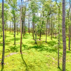 175 River Watch Road (8)