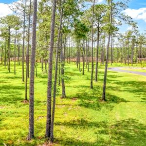 175 River Watch Road