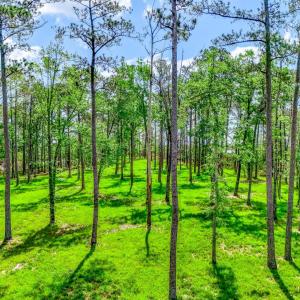 175 River Watch Road (23)