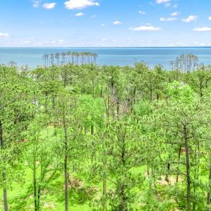 175 River Watch Road (1)