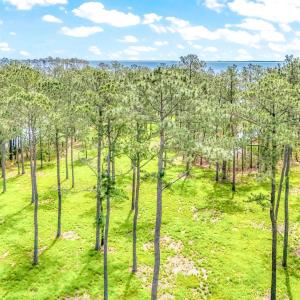 175 River Watch Road (20)