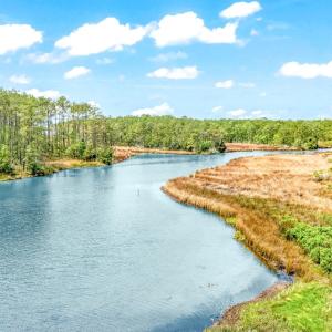 175 River Watch Road (5)