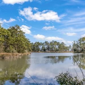 Lot 57 & Lot 58 - Ballast Point - IMG_89