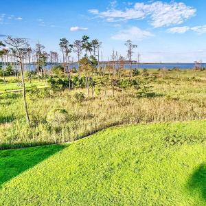 2024-08-21-18-16-17-516 (Large)