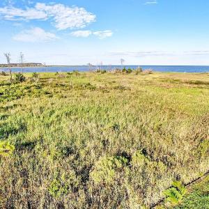 2024-08-21-18-16-25-096 (Large)