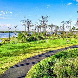 469 Ballast Point 81