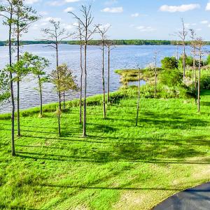 469 Ballast Point 81