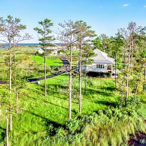 469 Ballast Point 81