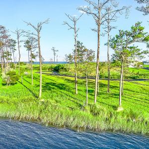 469 Ballast Point 81