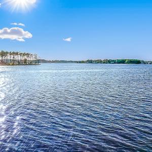 469 Ballast Point 81