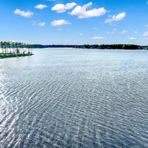 469 Ballast Point 81