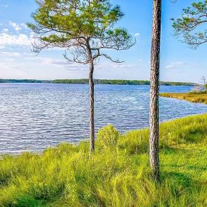 469 Ballast Point 81