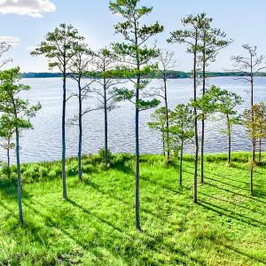 469 Ballast Point 81