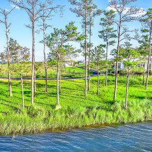 469 Ballast Point 81