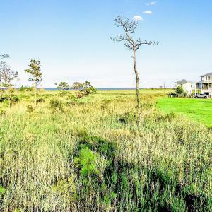 469 Ballast Point 81