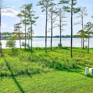 469 Ballast Point 81