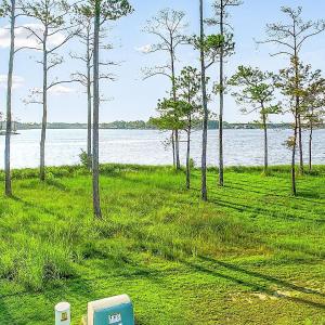 469 Ballast Point 81