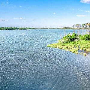 Broad Creek View