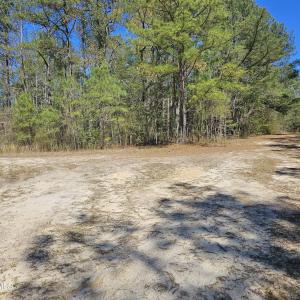353 Indian Pipe - Lot picture