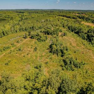 Aerial Above Abandoned Home