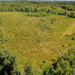 Aerial mostly cleared