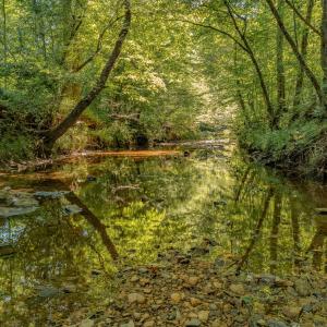 Creek