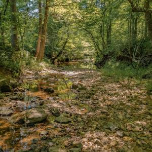 Creek 2