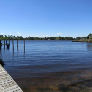 View of Pungo Creek