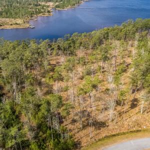 DJI_0477
