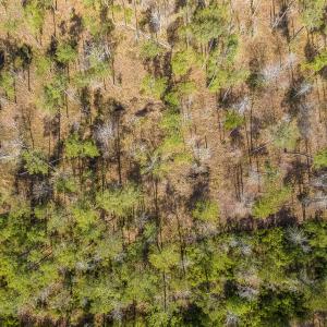 DJI_0478