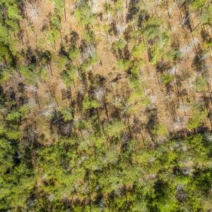 DJI_0479