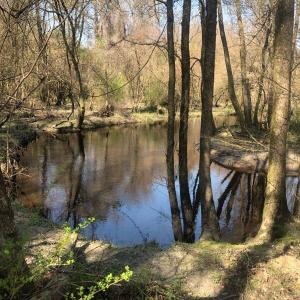Creek