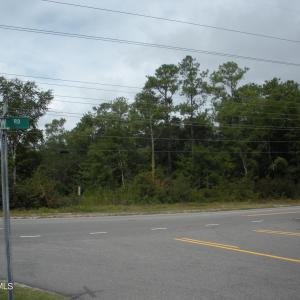 Road View