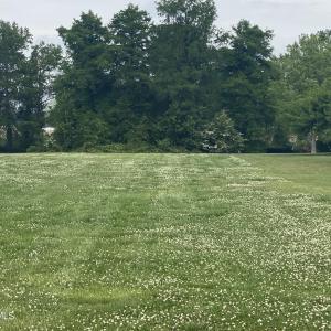 167 Pelican Pt front to back view