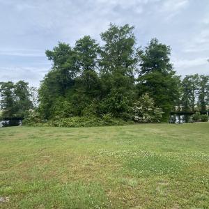 Close Up Back View. 167