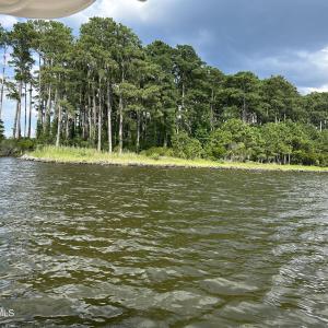IMG_6840
