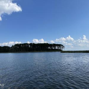 IMG_6845