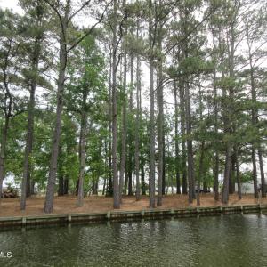 IMG_1439 - Copy