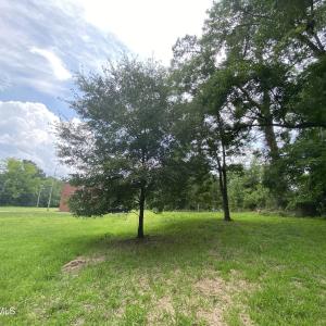 IMG-3837
