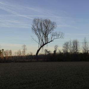 _DSC0249