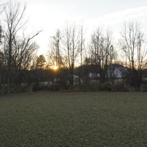 _DSC0256