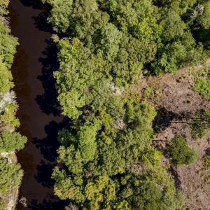 aerial-detail-16