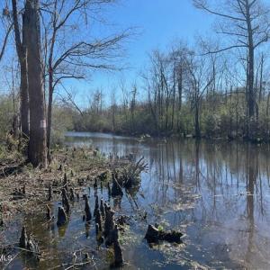 69972326245__A0FEE503-11C5-4623-B8DD-4C5